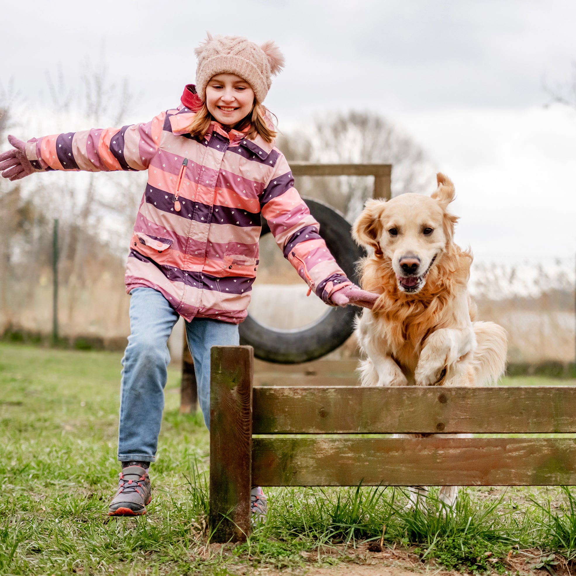 Unleash the Hero in Your Dog: Training Tips for Super Pups