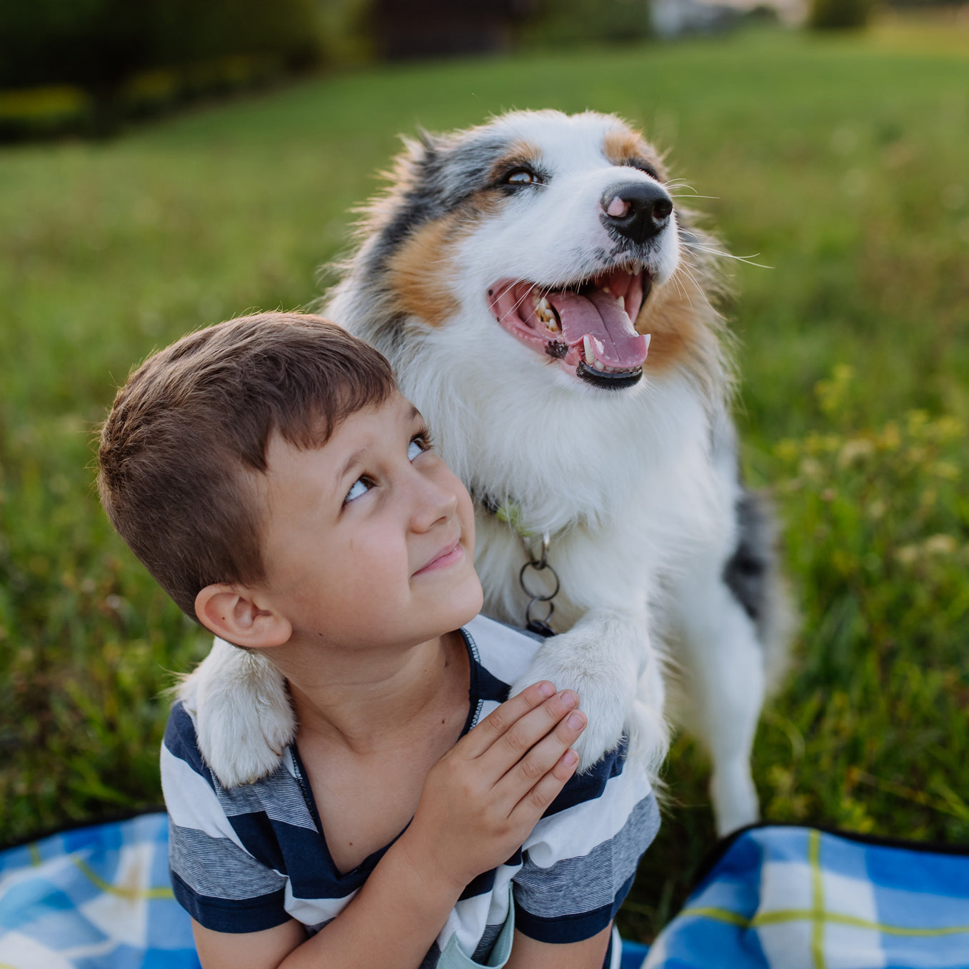 Hero Academy Sneak Peek: What’s Coming Soon