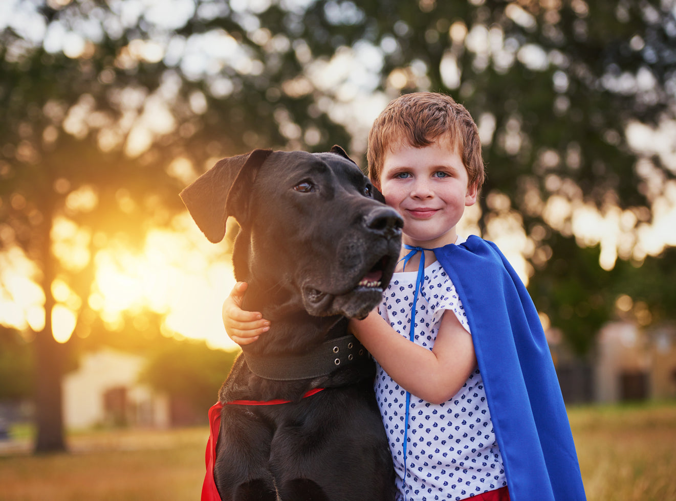 Superhero-Themed Dog Parties: How to Host One